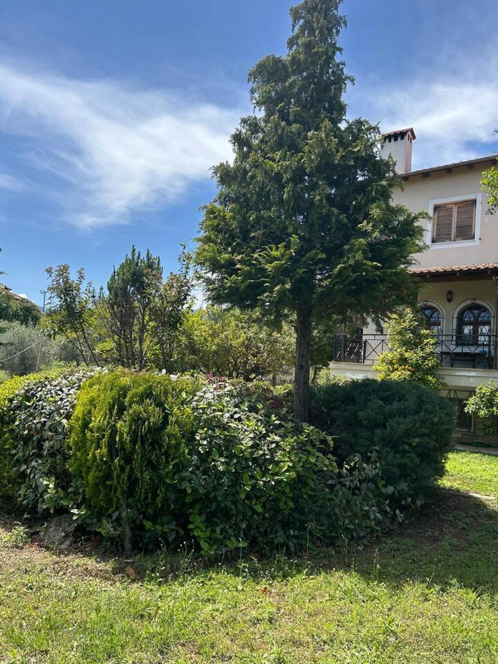 Zeusplace Karia Villa Natura Leptokarya  Bagian luar foto