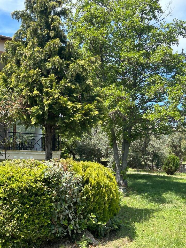 Zeusplace Karia Villa Natura Leptokarya  Bagian luar foto